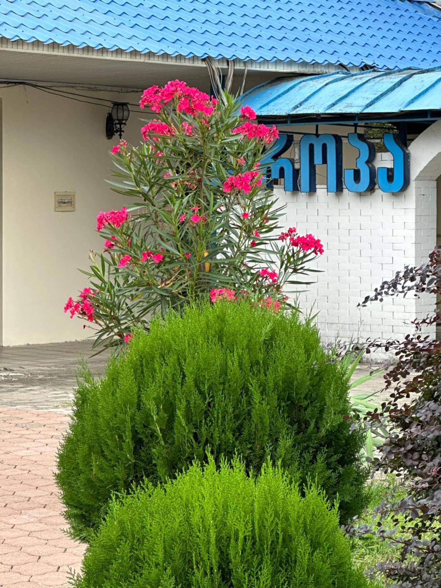 Europa Hotel-Kutaisi Eksteriør billede